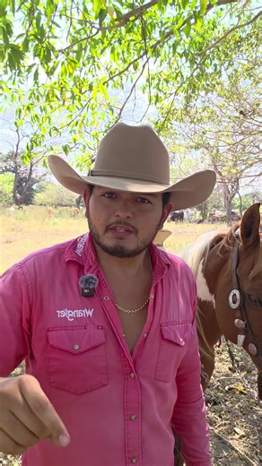 Cómo Montar a Caballo: Guía para Principiantes