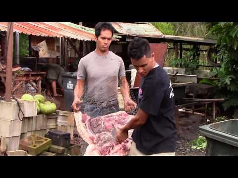 Hawaiian Imu (cooking a pig in the ground)