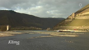 Niedrigwasser im Rhein: Wenn das Wasser nicht mehr reicht