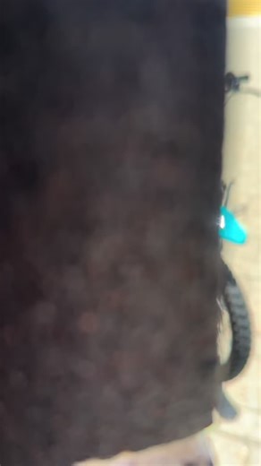 Exploring the Ebox 20 Dirtbike Features