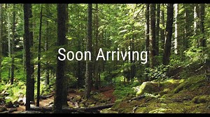 2.4K views · 67 reactions | Less than a day until the big reveal. Watch this space. | KDE | Facebook