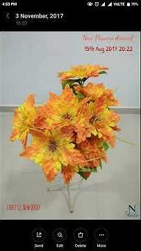 Add Text and Timestamp to your Saved Gallery Photos - Auto Stamper