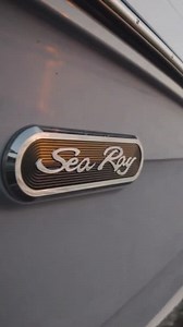 The best kind of days are the days when you see the Sea Ray logo in the water 🌊 | Sea Ray Boats