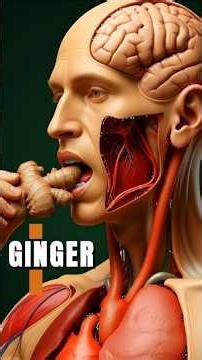 What Are the Health Benefits of Ginger! #HealthBenefits #DigestiveHealth #healthtips