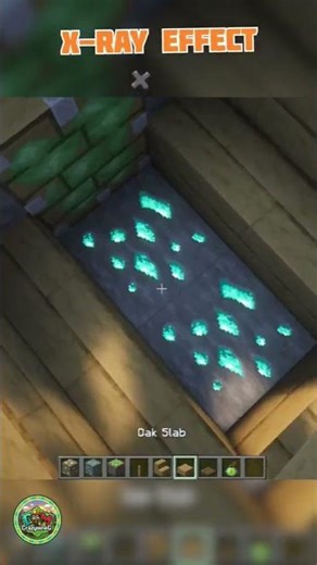 Minecraft X-Ray Trick… But It’s NOT What You Think 😳#minecraft#shorts