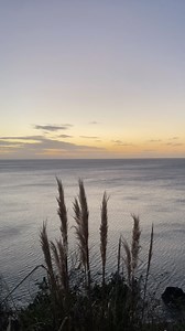 What an amazing gift to find yourself exactly where you want to be. I hope you are able to find that too. It’s a great feeling to take into my 6th decade as a human on planet earth. Grateful for every day. 💖🙏🏻🎉🎂🎂🎈 | Teri Hatcher