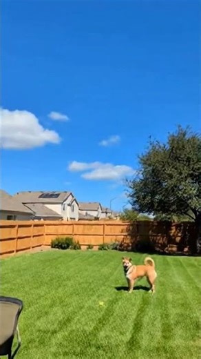 Someone just flipped the sun’s switch... ☀️🌑 #shorts #glitch