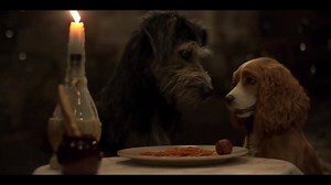 [#TELEVISIÓN] ‘La dama y el vagabundo’, la película en la que Disney utilizó perritos verdaderos, se estrena el 12 noviembre en el canal Disney . | Panorama Cultural