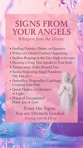 207K views · 829 reactions | Have you been seeing feathers? Finding...