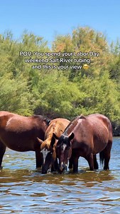 59K views · 7.3K reactions | ☀️ My kind of Labor Day weekend in Arizona! Drop your plans below ⬇️ #labordayweekend #welcometoarizona #weekendplans Credits: @justine_le_flahec | Welcome to Arizona | Facebook