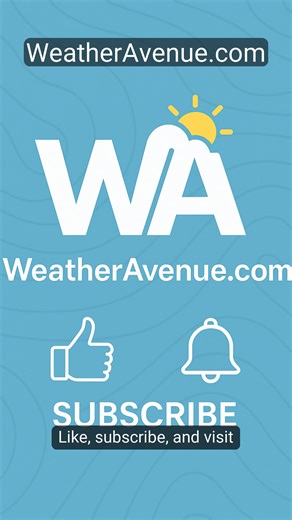 ☀️ Full weather report for Istanbul on 29 December 2025: Sunny, 6°C, wind 11 km/h, UV 1, precipitation 0 mm. #Istanbul, #Turkey, #Istanbulweather, #Sunny, #Sun, #Rain, #Cloudy, #Storm | Weather Avenue