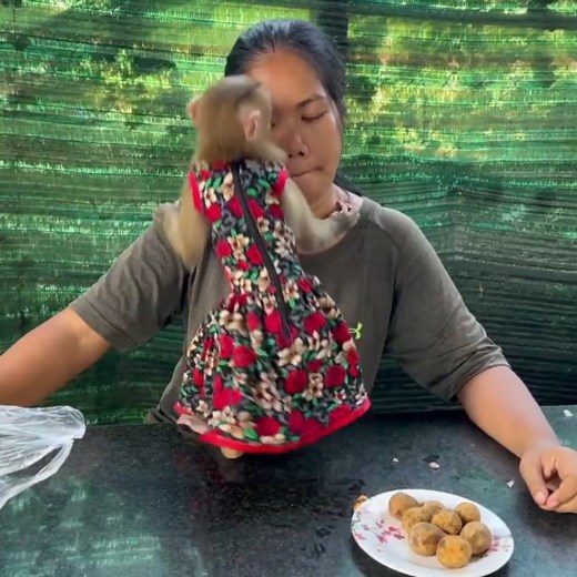 1.3K views · 57 reactions | Lil Doni Walking So Confident In Her Cute Dresses Holding Snack To Eat With Her MOM | Cute Baby Monkey | Facebook