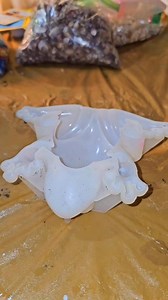 Beach frog 🐸 the layers are so cool! Fancy Freckles Artwork Let's Resin Chelcee Wisner Thecraftygirls33 @highlight #fancyfrecklesartwork #LetsResin #resinart_daily #foryoupage #reelsfb #reelsvideo #resinepoxyart #demoldingresin #resinepoxy #beachart #beachartist #beachartwork #beachandsea #oceanlife #oceanvibes #oceanartist #froggy #frogart #seashellart #shesellsseashellsbytheseashore #splitcup #siliconemolds #siliconemold #madeinoregon #oregonmade #beachlife | Alexis Gregory