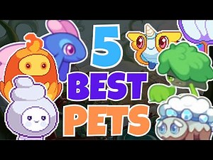 5 Best Early Game Pets For Beginners AND Pros! | Prodigy Math Game