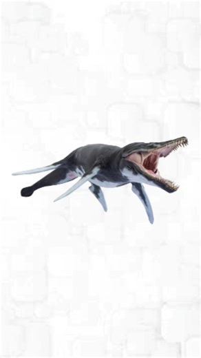 Pliosaurus – The Original Ocean Nightmare 🌊🦷 #extinctanimals #short #pliosaurus