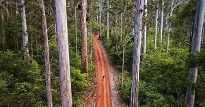 The Best Things To Do In Pemberton And The Southern Forests
