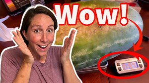 I Was Blown Away When I Picked This! | Big Family Small Farm