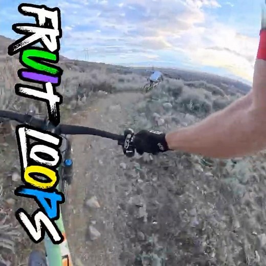 Fruit Loops for dinner.