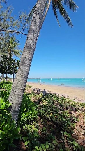 Darwin Northern Territory Australia Paradise 🌴 Tropical Blue Water Beach 🌊Palm Trees #shorts