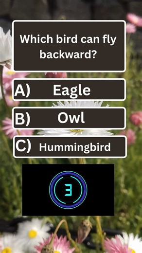 ⚡ "MindSpark: Rapid-Fire General Knowledge!"🔥🔥#GKQuiz #GeneralKnowledge #BrainQuiz #MindChallenge