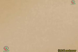 4.6K views · 50 reactions | Learn Biology with Bilal Ahmad using Advanced Digital Board Teaching | Quality Coaching Academy QCA | Facebook