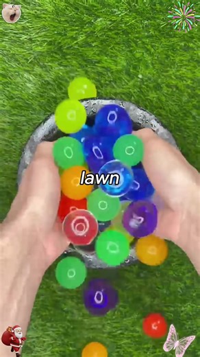 Homeowner Dispute Over Lawn Maintenance Explained