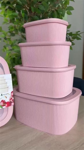 Affordable 4-Piece Kitchen Storage Container Set