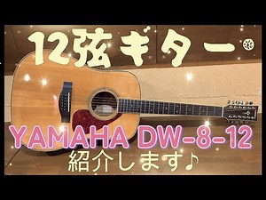 【アコギ紹介】12弦ギター YAMAHA DW-8-12