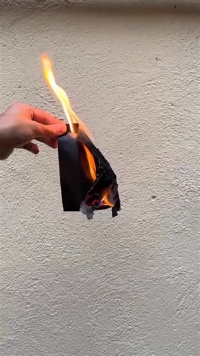 8.3K views · 45 reactions | A veces hay que arder un poco para volver a brillar.   Porque de lo roto también nace algo nuevo. ✨ | PIGNOISE | Facebook