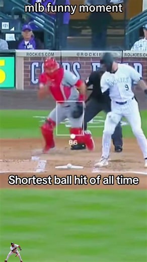 Hilarious Baseball Moments That Will Make You Laugh