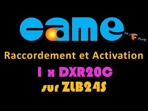 1 paire de DXR20C sur ZLB24S CAME