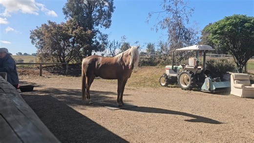 1.4K views · 16 reactions |  TRAINING TUESDAY'S   The amazingness...