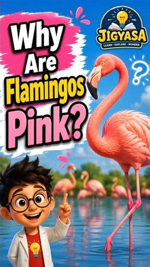 Why Are Flamingos Pink? 🦩🌸 The Amazing Science Behind Their Color! | Science Facts #shorts