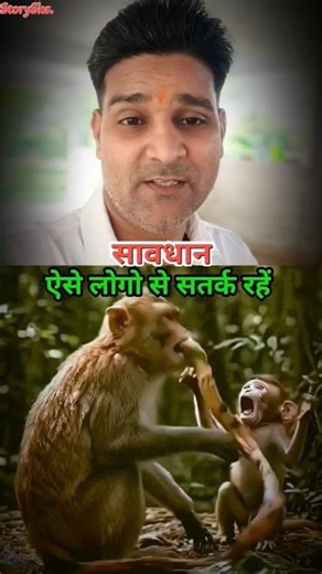 snake attack on monkey #snake #monkey #attack