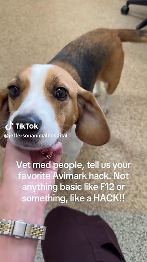 Top Avimark Hacks for Veterinarians to Simplify Tasks