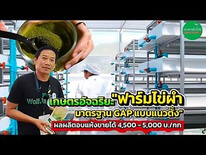 กิโลละ 4,500-5,000 บ.(อบแห้ง) ฟาร์มไข่ผำแนวตั้งมาตรฐาน GAP เจ้าแรกในไทย
