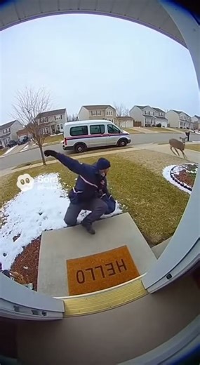 Mailman gets attacked!