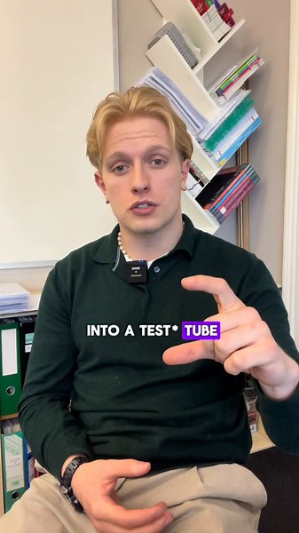 GCSE Biology: Food Tests Explained