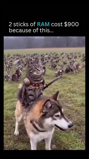 Center of AI on Instagram: "Why does RAM cost so much right now? AI is buying it all. Massive models, nonstop training, and hyperscale data centers are consuming DRAM at levels consumers never had to compete with before. That demand is soaking up supply — leaving less memory for PCs, laptops, and phones. With only a handful of companies controlling global RAM production, even small demand spikes send prices soaring. And AI just changed the game. RAM isn’t just a PC part anymore — it’s core AI in