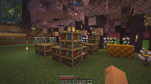 我的世界 原版生存 DAY4 蜜蜂 刷铁 猪猪