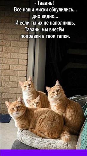 Мы не шутим #смех #приколы #мем #юмор #смешновидео #анекдоты