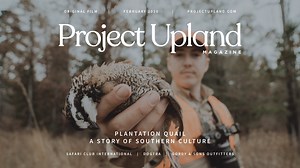 414K views · 890 reactions | Have you ever experienced the culture of plantation quail? Presented by Dogtra, Safari Club International - SCI, and Gordy & Sons Outfitters | Project Upland Magazine | Facebook