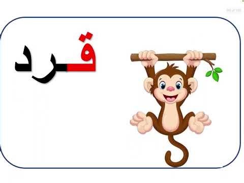 Learn Arabic Letter "Qaaf" | "تعلم حرف "ق