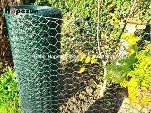 [Hot Item] PVC Coated Hexagonal Wire Mesh Chicken Wire Netting Fencing