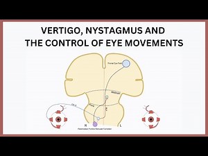 Vertigo, Nystagmus and the Control of Eye Movements Explained