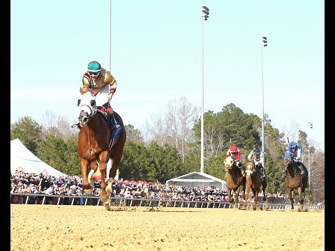 2025 Virginia Derby Full Race Replay - American Promise