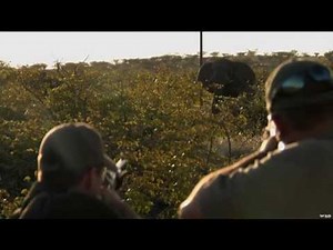 Elephant Hunting in the Namib Desert - video Dailymotion