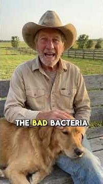 Bleeding gum secrets about your dog 🐶