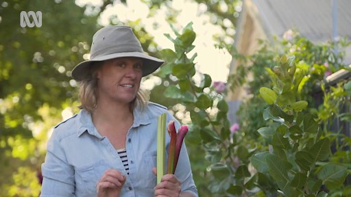 Top Tip: Using Rhubarb Leaves - Gardening Australia