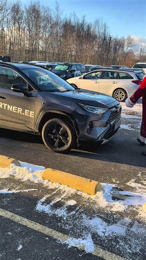 Boss 🐕 & Santa 🎅 #labrador #browndog #puppydog #santa #winter